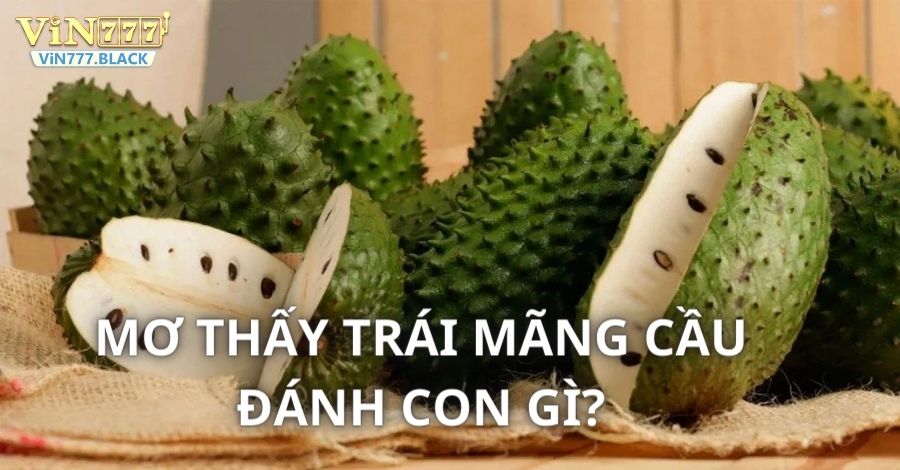 Mơ thấy trái Mãng Cầu thì nên đánh con gì?Mơ thấy trái Mãng Cầu thì nên đánh con gì?