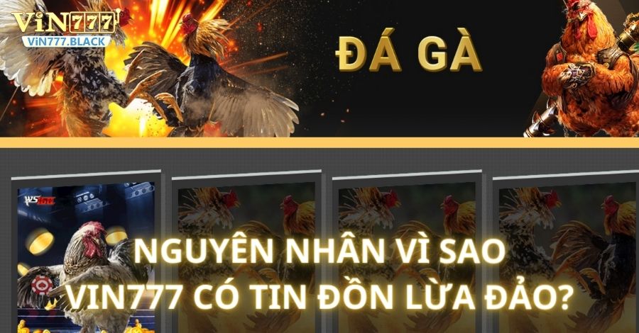 Nguyên nhân tin đồn VIN777 lừa đảo người chơi