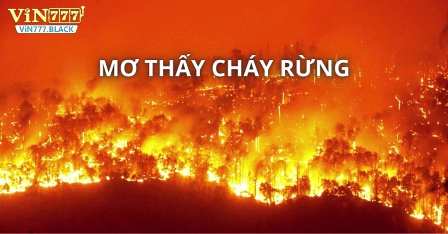 Mơ thấy cháy rừng