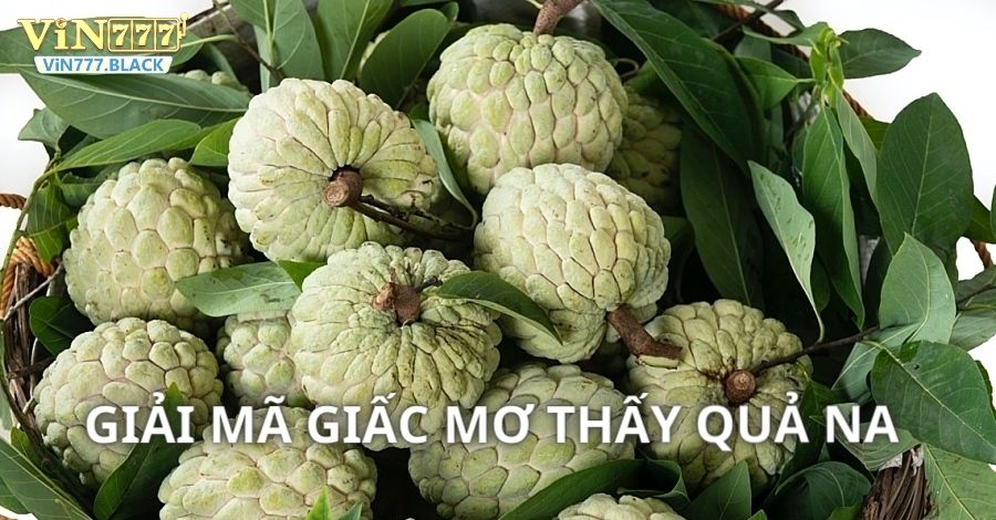 Mơ thấy quả na