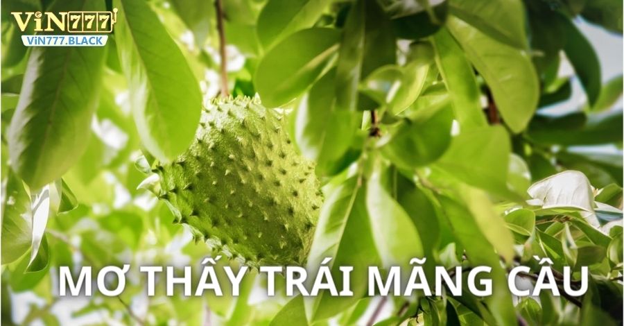 Mơ thấy trái mãng cầu